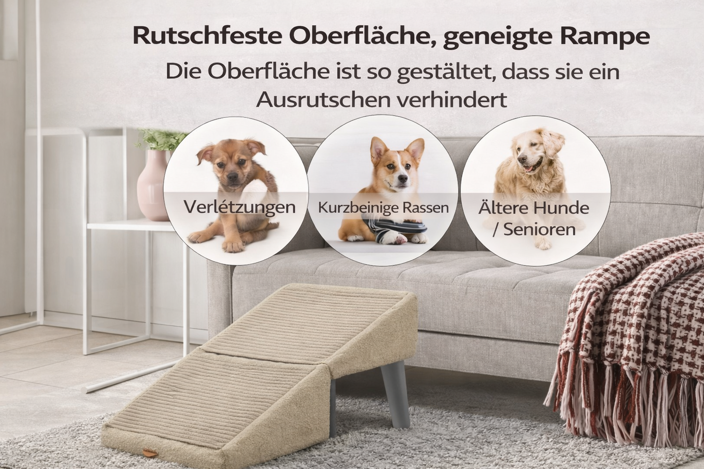 StepEasy Haustiertreppe