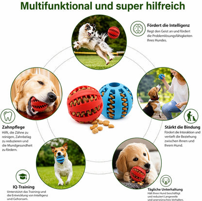 BiteBall™ – Robuster Snack- & Kauspielball für Hunde