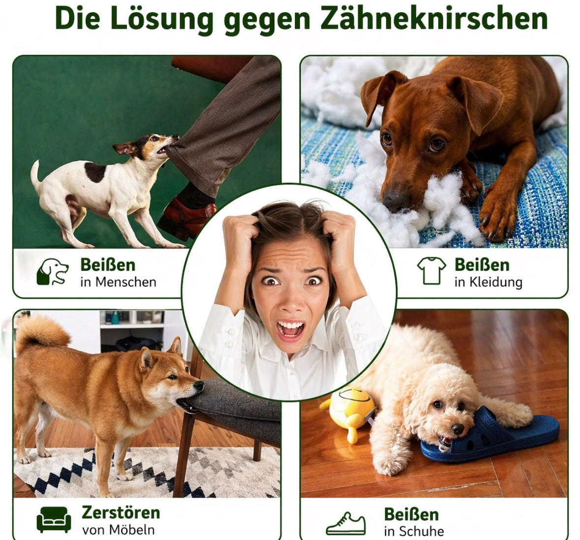 BiteBall™ – Robuster Snack- & Kauspielball für Hunde