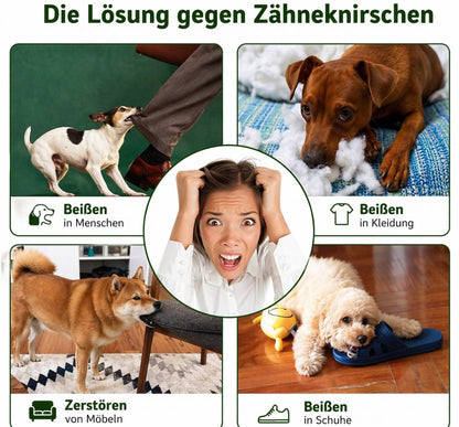 BiteBall™ – Robuster Snack- & Kauspielball für Hunde