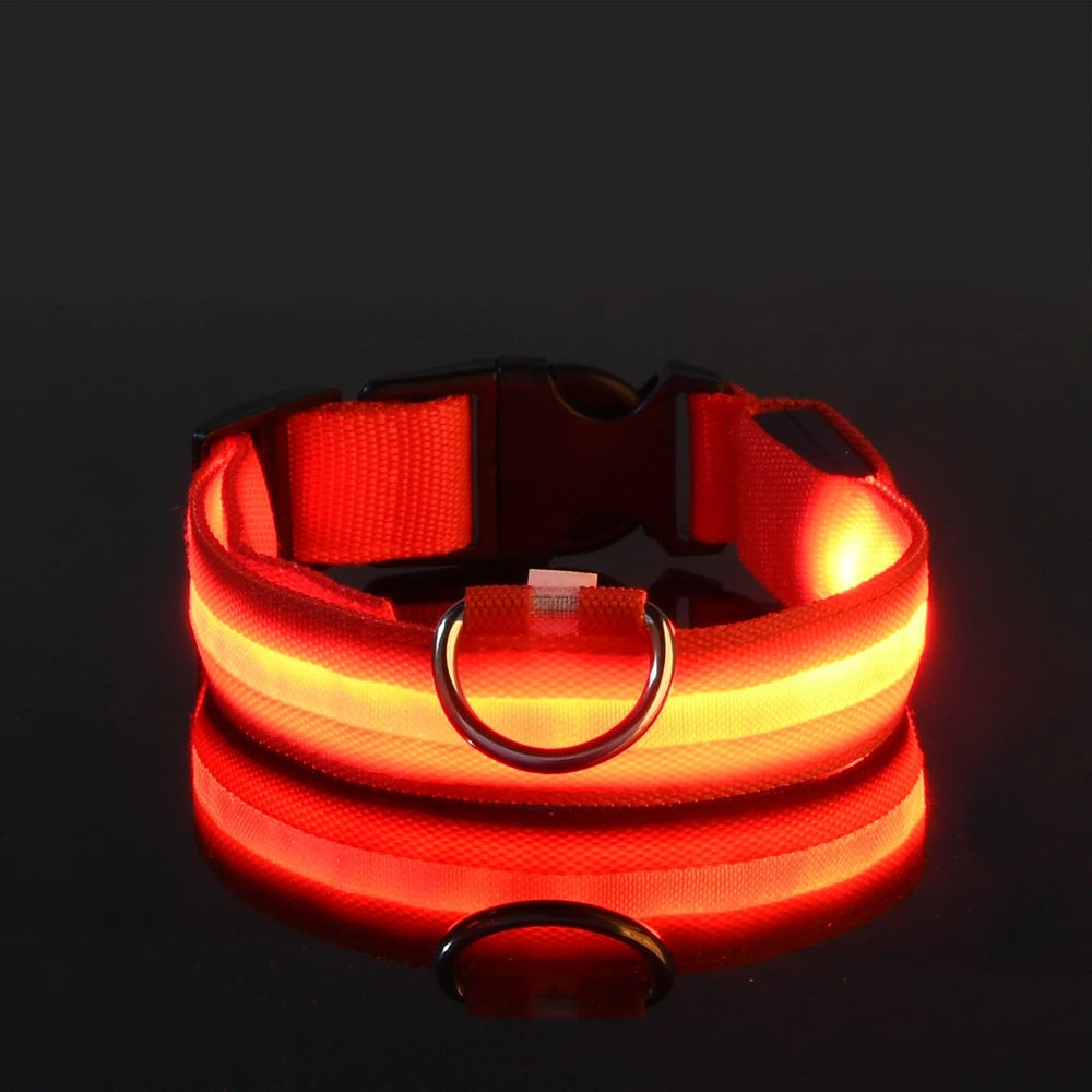 LightSafe LED Halsband