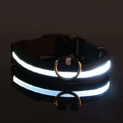 LightSafe LED Halsband