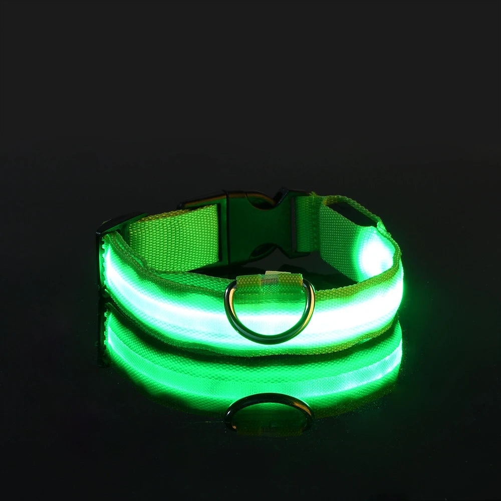 LightSafe LED Halsband