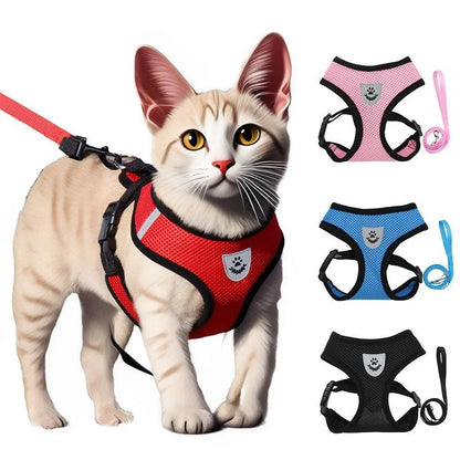EscapeSafe Katzen & Geschirr