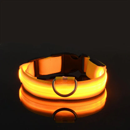 LightSafe LED Halsband