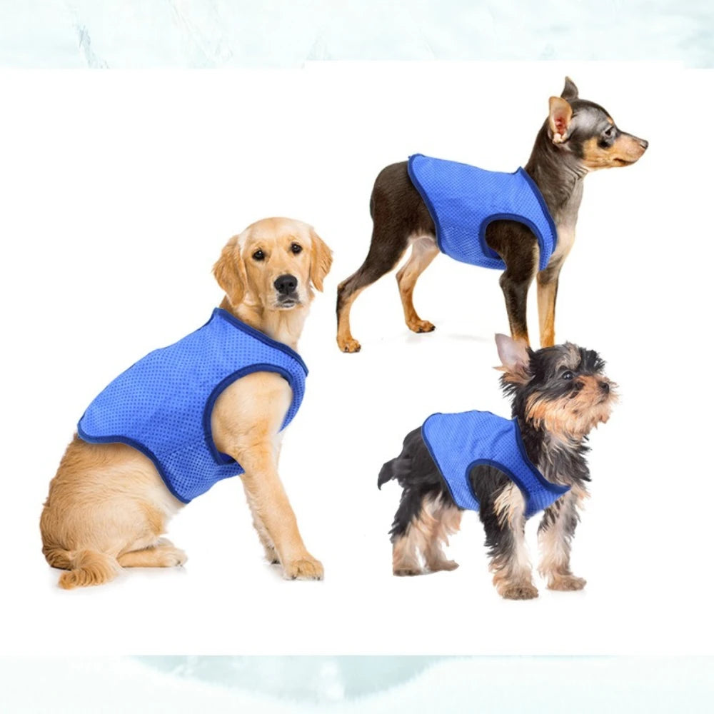 ❄️ Kühlweste für Hunde – Perfekte Abkühlung an heißen Sommertagen