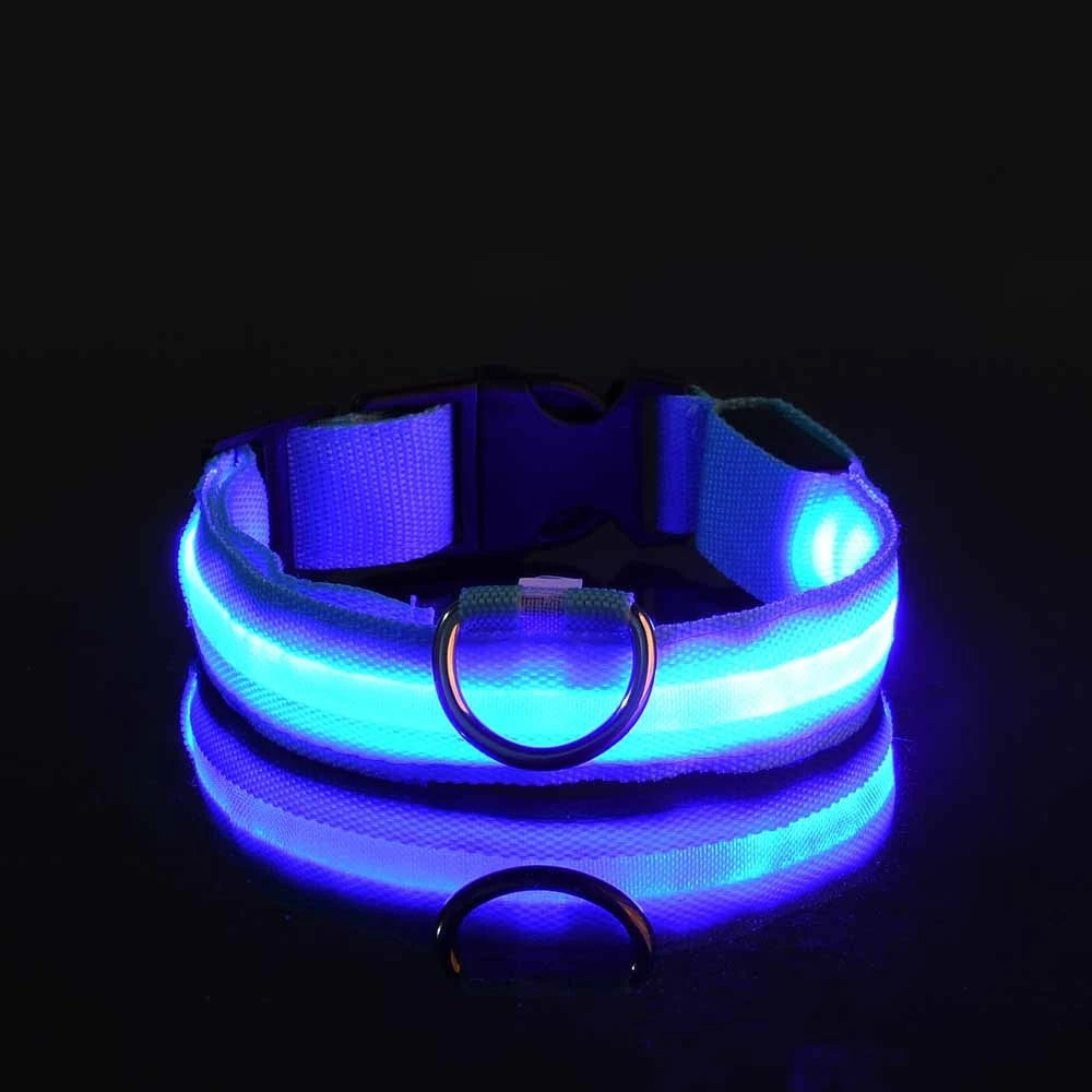 LightSafe LED Halsband
