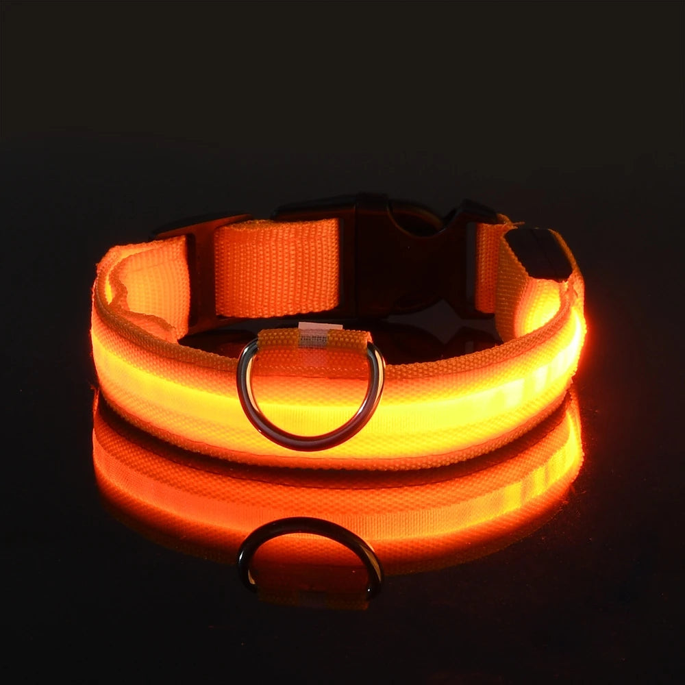 LightSafe LED Halsband