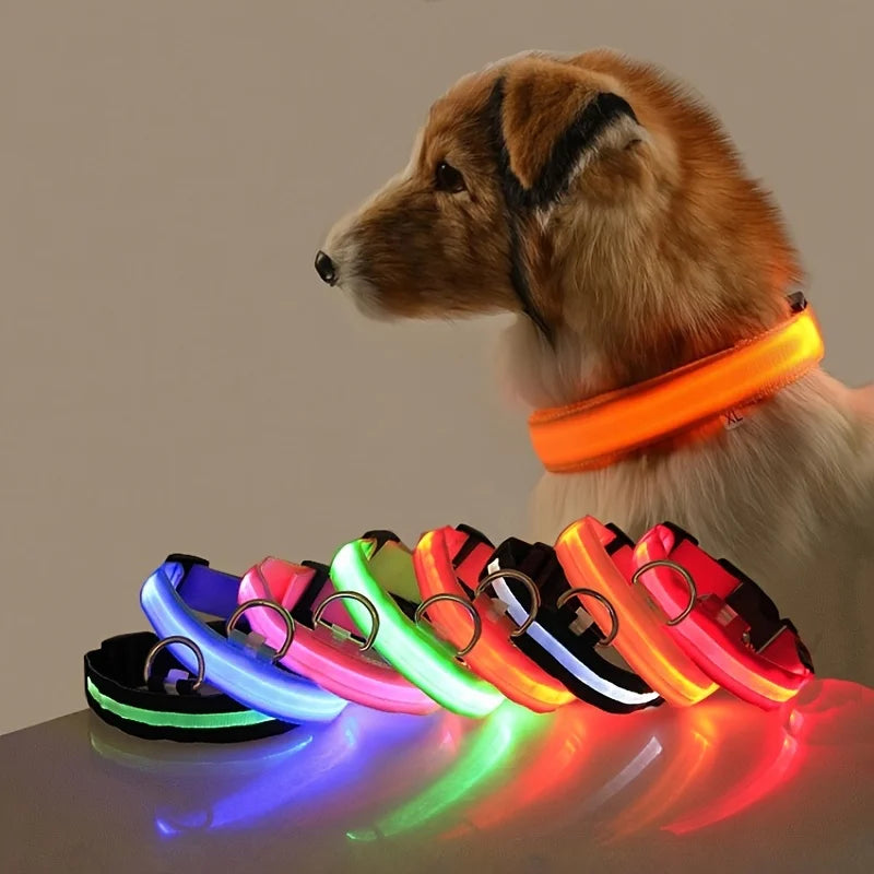 LightSafe LED Halsband