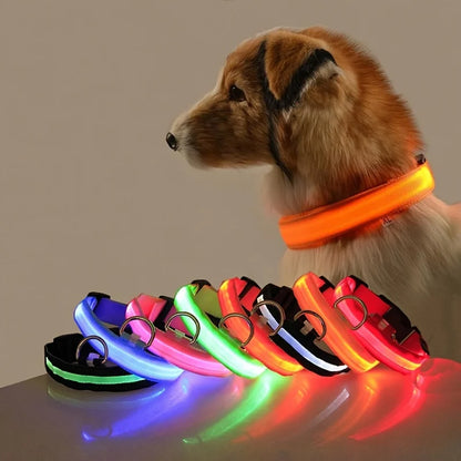 LightSafe LED Halsband