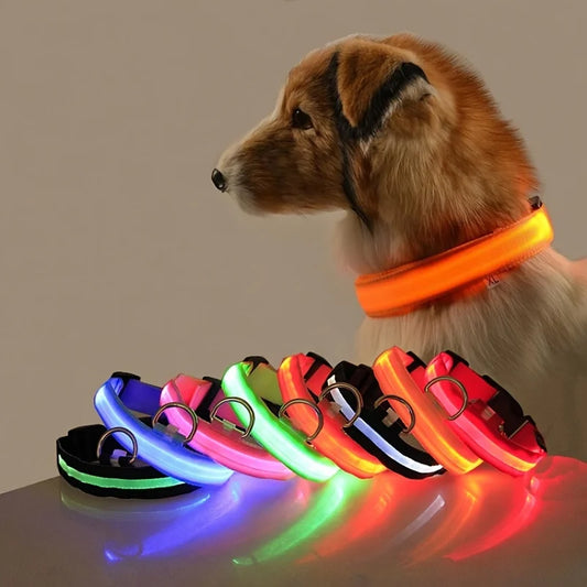 LightSafe LED Halsband