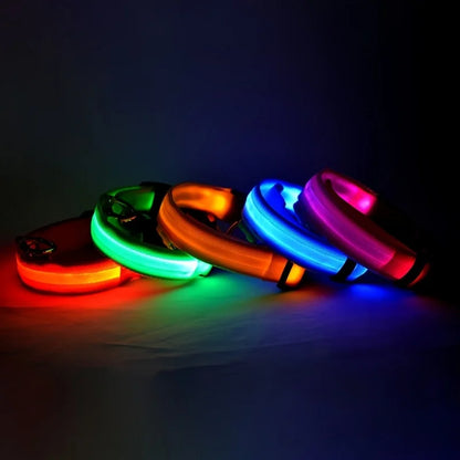 LightSafe LED Halsband