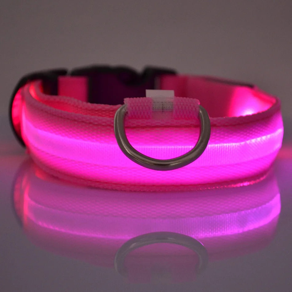 LightSafe LED Halsband