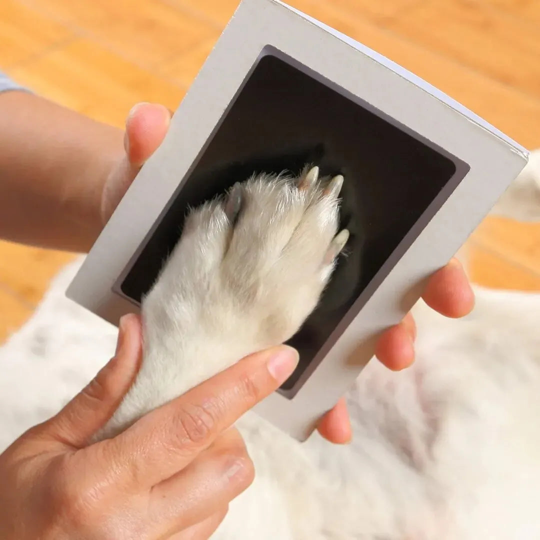 Haustier stempelkissen „Paw Print Clean Touch“