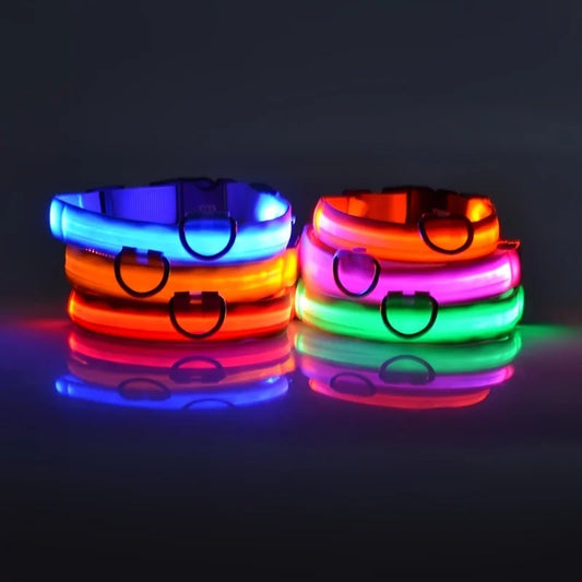 LightSafe LED Halsband