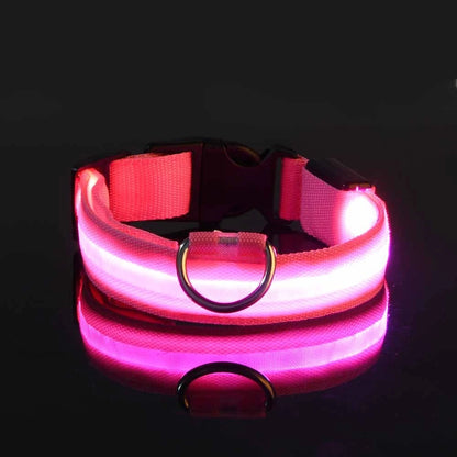 LightSafe LED Halsband