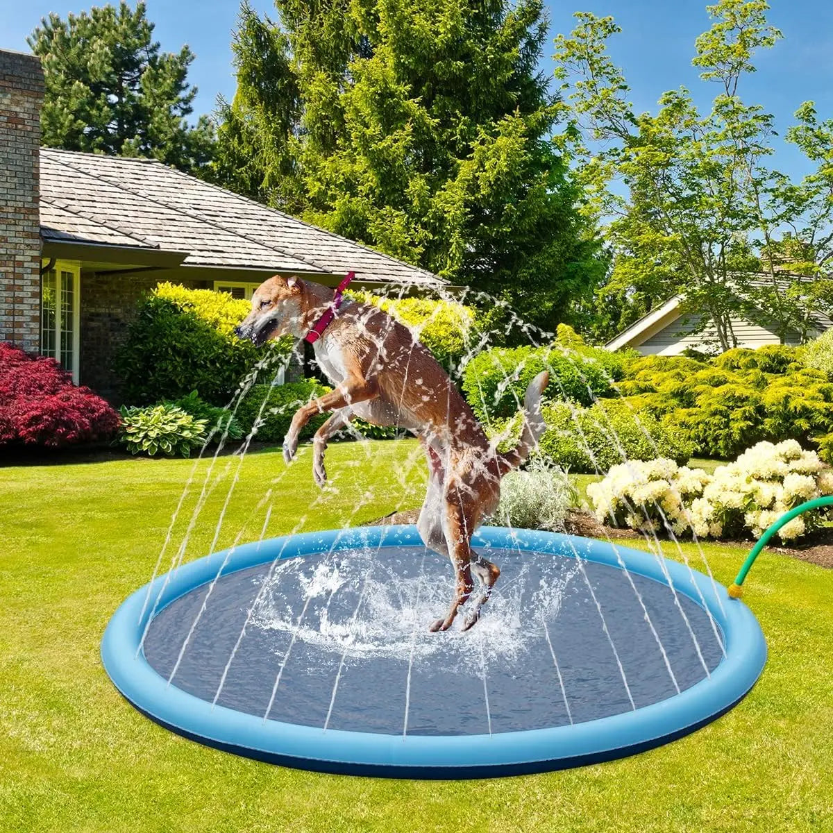 🌊 AquaSplash Hunde-Wasserspielmatte 170 cm
