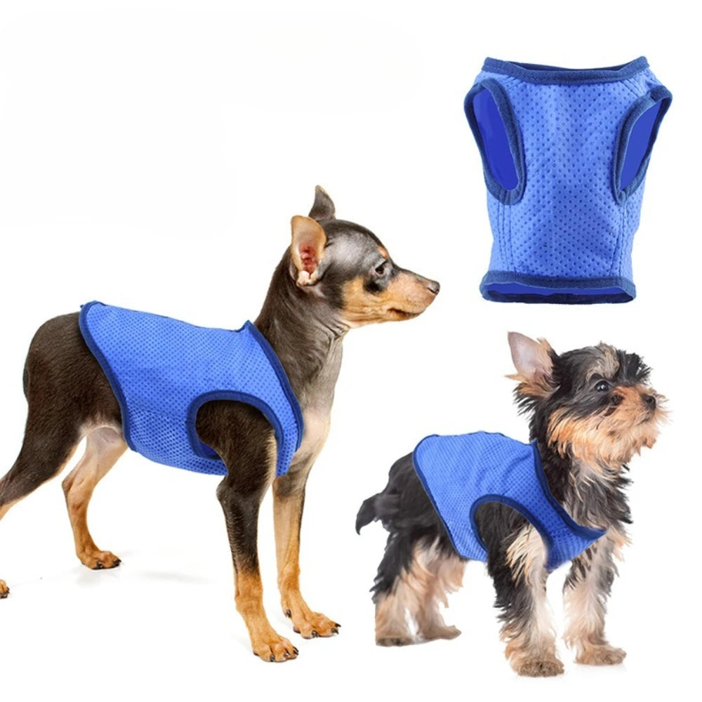 ❄️ Kühlweste für Hunde – Perfekte Abkühlung an heißen Sommertagen
