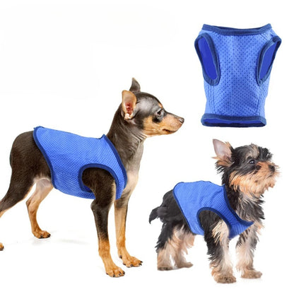 ❄️ Kühlweste für Hunde – Perfekte Abkühlung an heißen Sommertagen